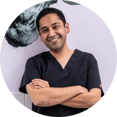 Dr. Julio Mansilla